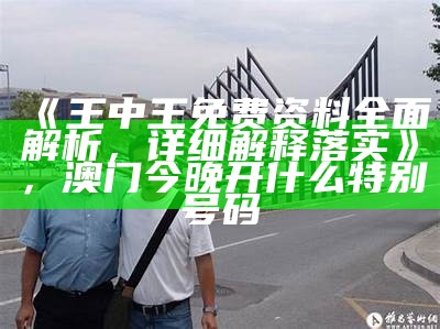 《王中王免费资料全面解析，详细解释落实》，澳门今晚开什么特别号码