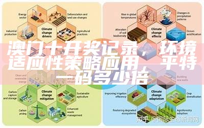 澳门2021开奖记录表及环境适应性策略，香港最准最快资料网站香