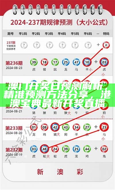 澳门开奖最快结果，快速查询方案解析，澳门资料大全正版25